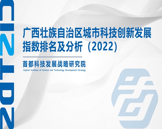 大鸡巴很操【成果发布】广西壮族自治区城市科技创新发展指数排名及分析（2022）